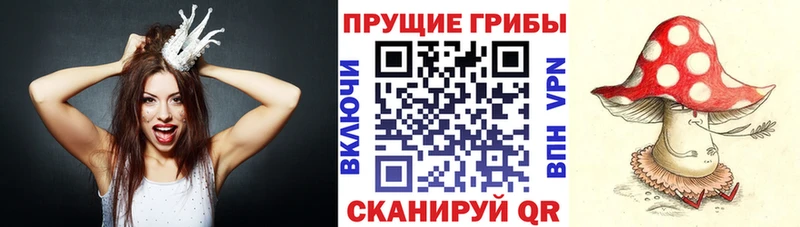MEGA как зайти  Ивдель  Псилоцибиновые грибы прущие грибы  что такое  